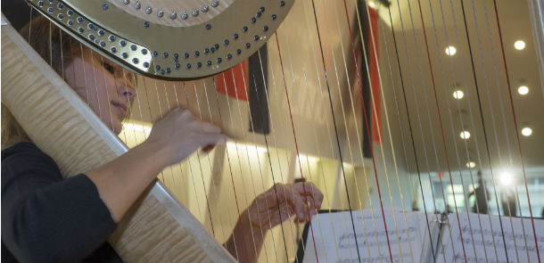 Taylor Fleshman playing harp