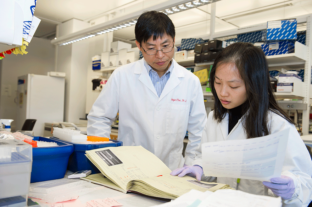 UC Researchers working in the UCCI lab